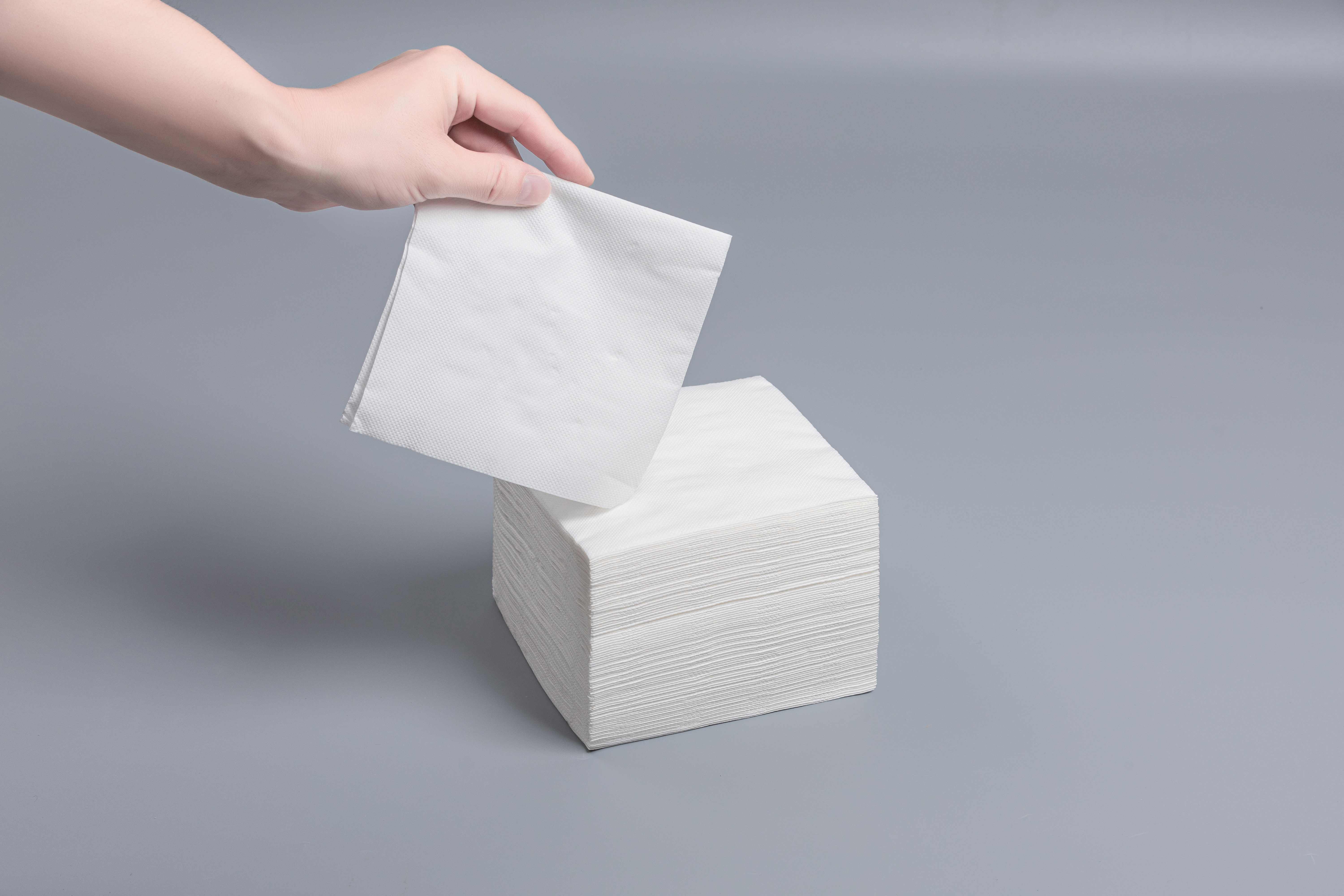 Lunch Napkins
